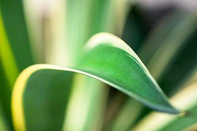 《风来之国》未来计划登陆国行Switch和手机平台